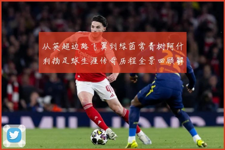 从英超边路飞翼到绿茵常青树阿什利扬足球生涯传奇历程全景回顾解析