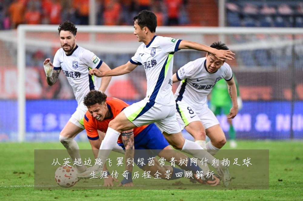 从英超边路飞翼到绿茵常青树阿什利扬足球生涯传奇历程全景回顾解析